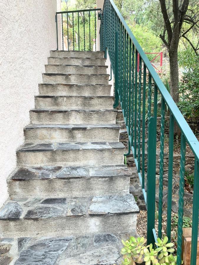 Apartmán Les Chenes-Lieges D'Ambeille Collioure Exteriér fotografie